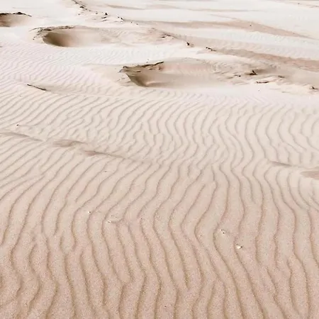 In South Holland Near The