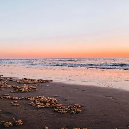 In South Holland Near The Ferienhaus