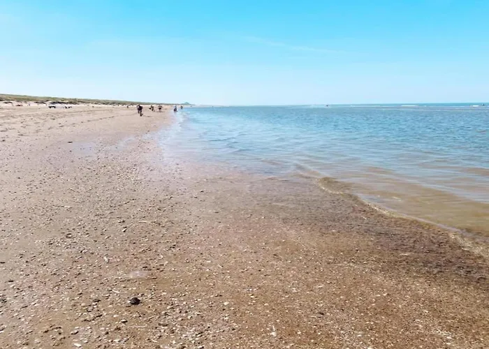 In South Holland Near The * Noordwijk