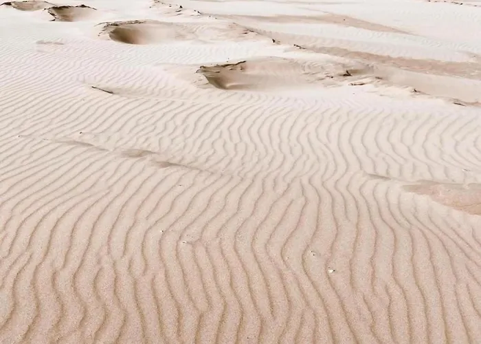 In South Holland Near The