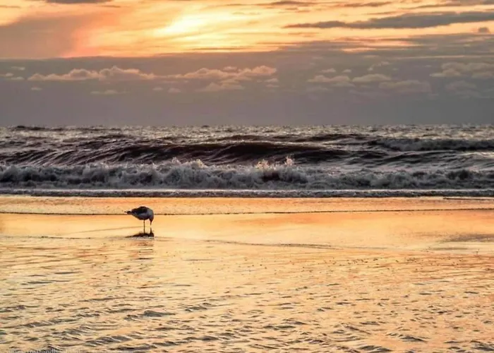 Prázdninový dům In South Holland Near The