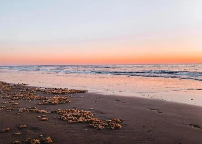 In South Holland Near The Ferienhaus