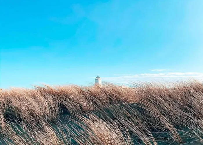 In South Holland Near The Ferienhaus Noordwijk