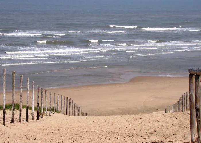 In South Holland Near The