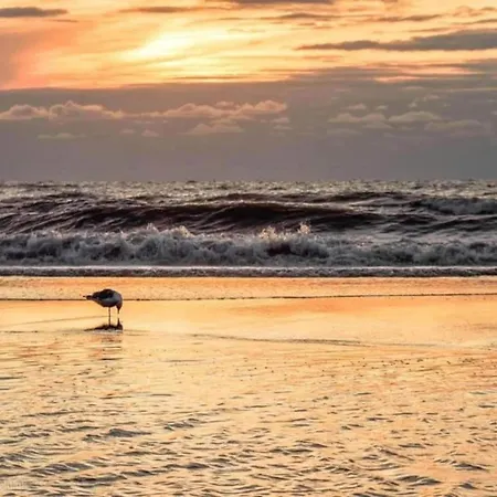 Hébergement de vacances In South Holland Near The
