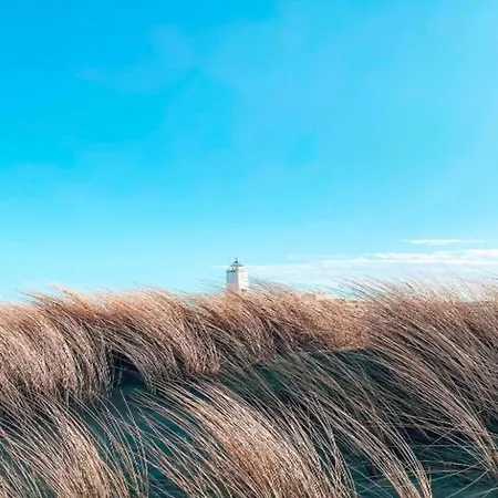 In South Holland Near The Hébergement de vacances Noordwijk