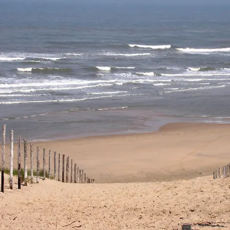 In South Holland Near The